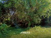 listing thumbnail image 8