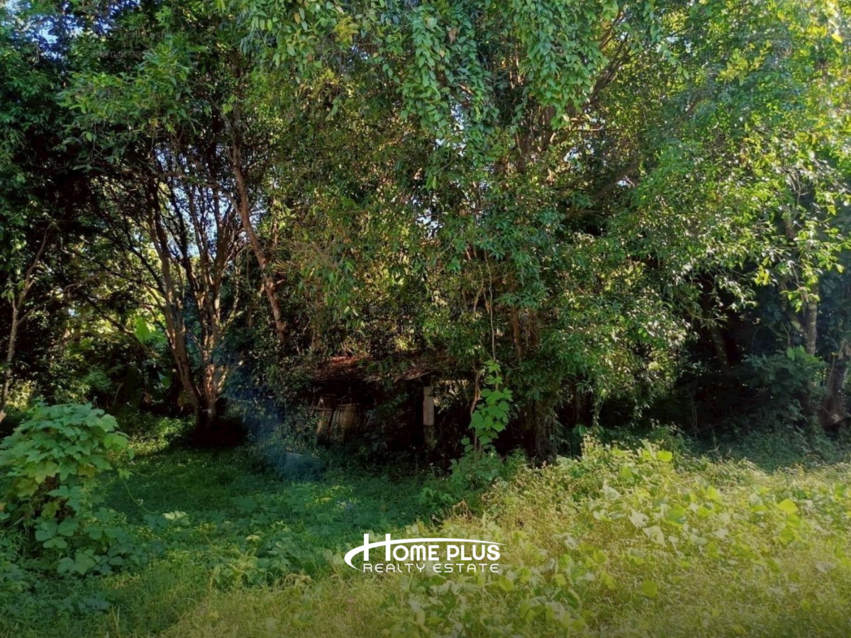รูป ที่ดินเปล่า ตำบลสาริกา อำเภอเมืองนครนายก ใกล้ทางหลวง 3049 - รูปที่ 9/11
