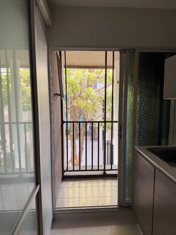 picture Dcondo Campus Resort Bangna for rent - 9/11