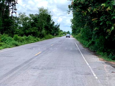 ที่ดิน ขอนแก่น : ขายที่ดิน อ. หนองสองห้อง จ.ขอนแก่น ( 28-1-33)