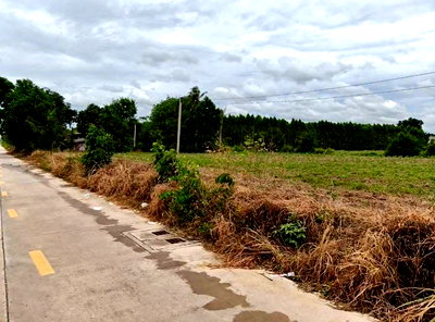 Land for sale Laem Chabang Industrial Estate : Land for sale in Bowin, Sriracha, near the industrial estate. Convenient transportation.