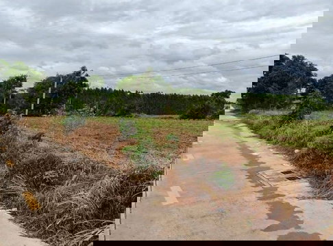 ขายที่ดินบ่อวิน ศรีราชา ใกล้นิคมอุตสาหกรรม เดินทางสะดวก