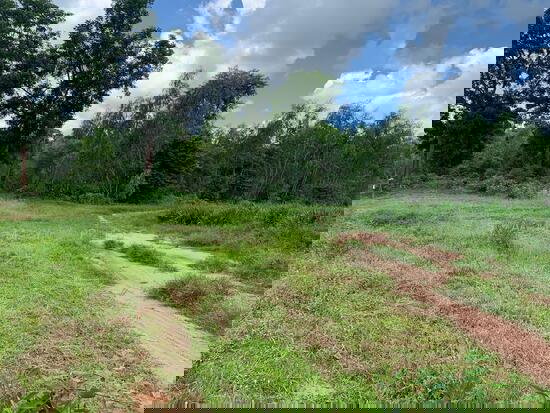 รูป ขายที่ดิน อ. หนองสองห้อง จ.ขอนแก่น ( 28-1-33) - รูปที่ 3/4