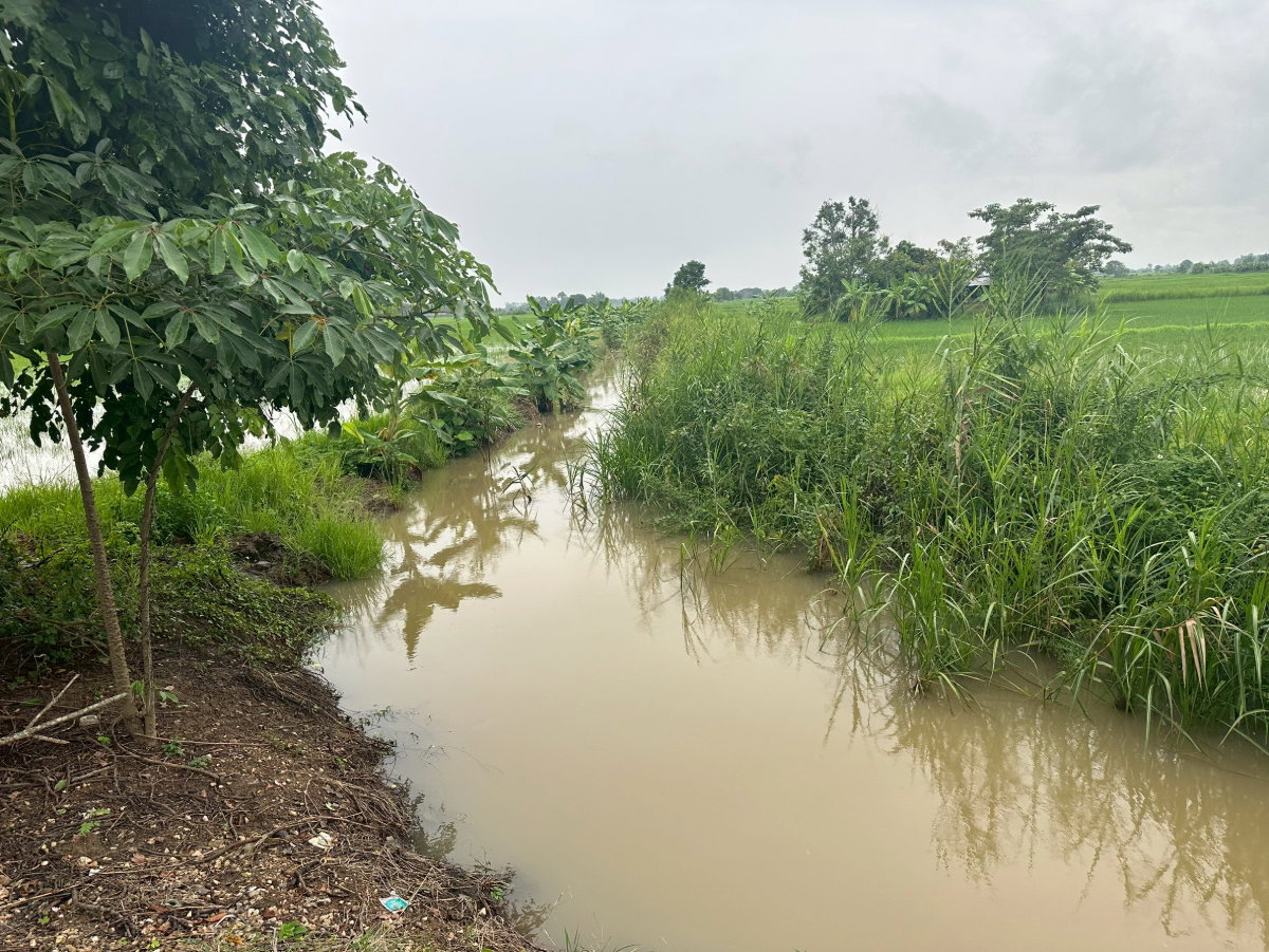 รูป ที่ดินการเกษตร ใกล้แม่สาย ตารางวาละ 650 บาท - รูปที่ 10/18