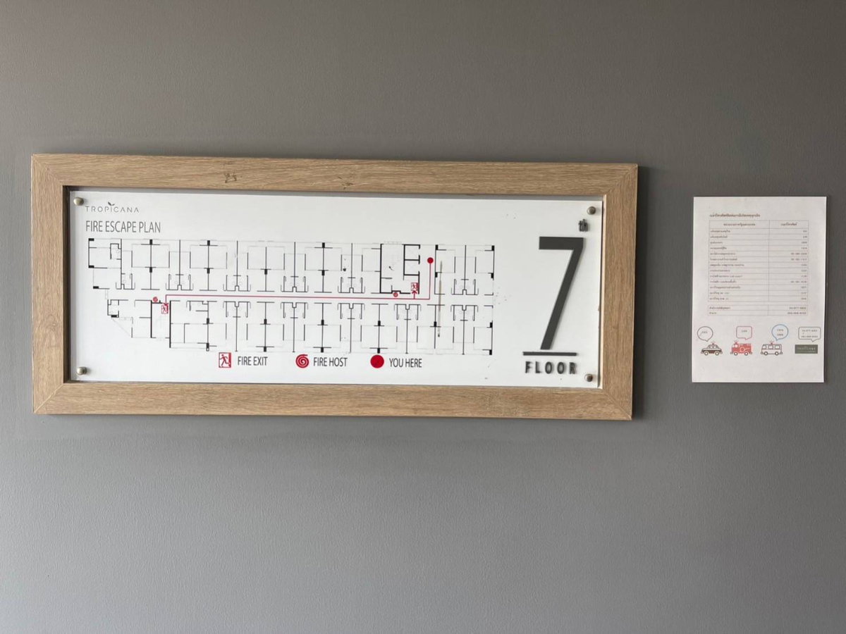 รูป BCN 2225 : ทรอปิคาน่า (Tropicana) - รูปที่ 1/11