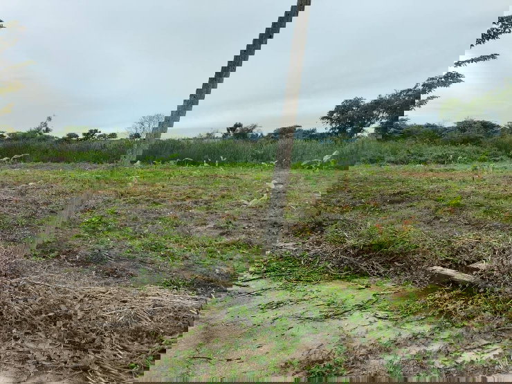 รูป ขายที่ดินเปล่า นครปฐม ในหมู่บ้านทองธัชการ ติดบึงน้ำ หน้ากว้าง 91ม - รูปที่ 4/4