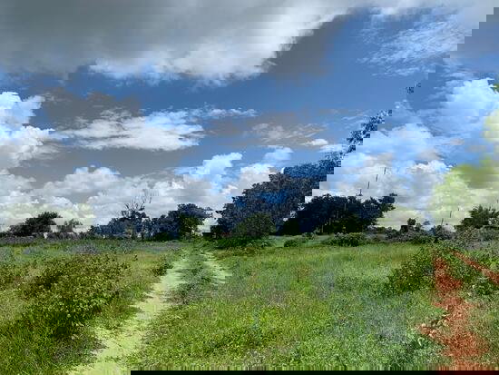 รูป ขายที่ดิน อ. หนองสองห้อง จ.ขอนแก่น ( 28-1-33) - รูปที่ 4/4