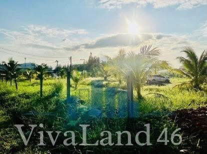 รูป ที่ดินผืนใหญ่ ใจกลางป่าตอง โฉนดครุฑแดงพร้อมโอน! - รูปที่ 14/16