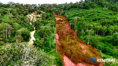 ที่ดิน ม.ราชภัฏภูเก็ต : สำหรับ ขาย ที่ดิน  3511 ตร.ว. ที่ เมืองภูเก็ต