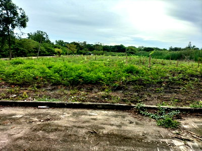 ที่ดิน เมืองนครปฐม นครปฐม : ขายที่ดินเปล่า นครปฐม ในหมู่บ้านทองธัชการ ติดบึงน้ำ หน้ากว้าง 91ม