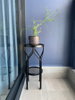 listing thumbnail image 12