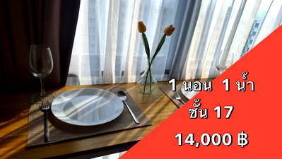 Condos for rent : 🔥The Rich Rama9 1 bed 29 Sqm f17 special price 14,000 (New Room)