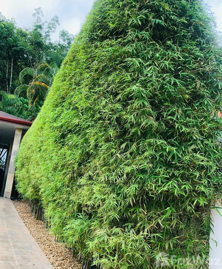 รูป ขาย วิลล่า 2 ห้องนอน ใน กมลา, ภูเก็ต 6121042 - รูปที่ 32/34