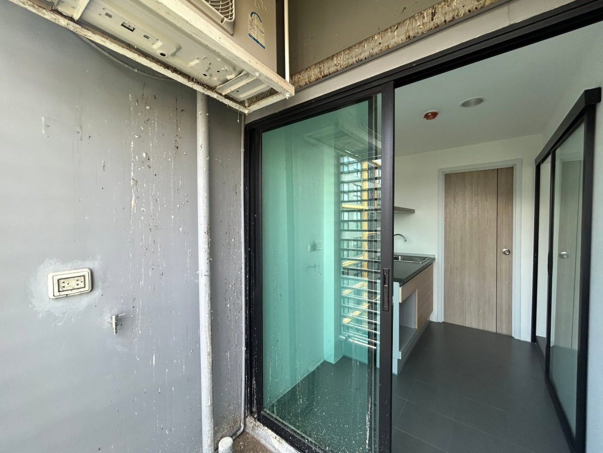 รูป BB  15364  :   ดิ เอ็กเซล คูคต - รูปที่ 10/39