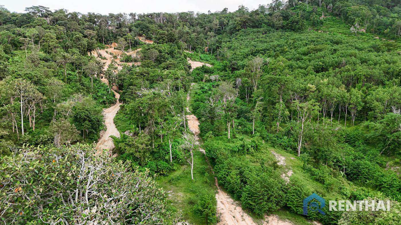 รูป สำหรับ ขาย ที่ดิน  3511 ตร.ว. ที่ เมืองภูเก็ต - รูปที่ 2/13