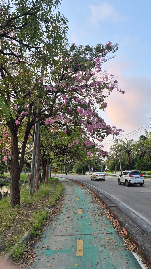 รูป 🏠 ขายบ้าน : Golden Town 2 Ngamwongwan - Prachachuen (โกลเด้น ทาวน์ 2 งามวงศ์วาน - ประชาชื่น)   รหัสทรัพย์ | 📌LNP-H900  - รูปที่ 28/36