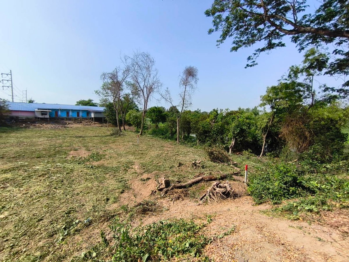 รูป ที่ดินติดคลองธรรมชาติ เพื่อความมั่นคงในวัยเกษียณ และยุคสงคราม - รูปที่ 11/11