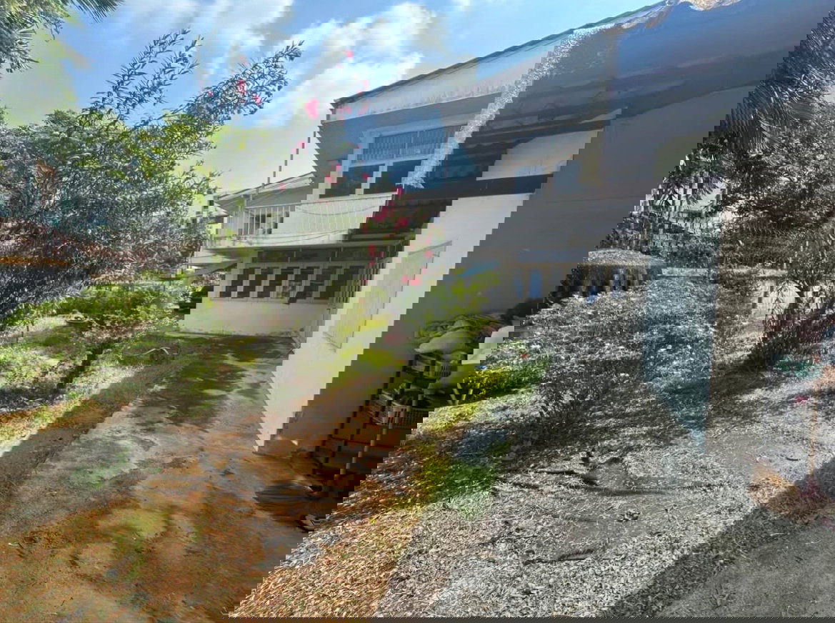 รูป ขายบ้านพร้อมที่ดิน สวนขนาดใหญ่ 241 ตรว ในซอย ลาดพร้าว126 - รูปที่ 9/10