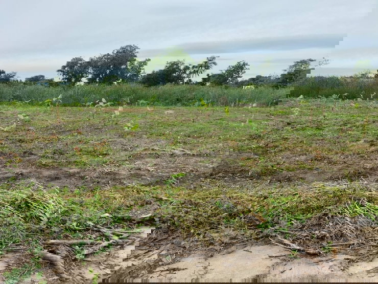 รูป ขายที่ดินเปล่า นครปฐม ในหมู่บ้านทองธัชการ ติดบึงน้ำ หน้ากว้าง 91ม - รูปที่ 3/4