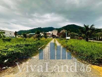 รูป ที่ดินผืนใหญ่ ใจกลางป่าตอง โฉนดครุฑแดงพร้อมโอน! - รูปที่ 12/16