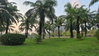 listing thumbnail image 16