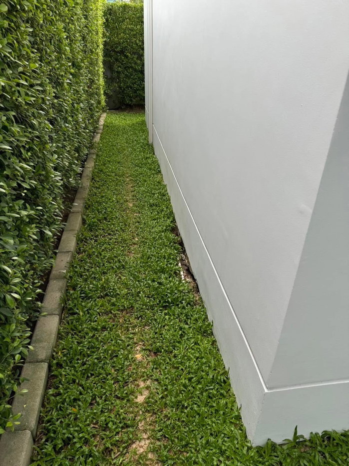 picture S04-0109 Luxury Single House for Rent or Sale: THE CITY BANGNA - 2/61