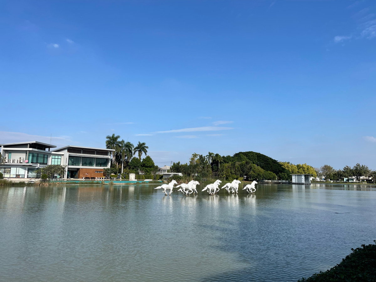 รูป 🏡 ให้เช่าบ้านเดี่ยว 2 ชั้น Perfect Place รัตนาธิเบศร์ – นนทบุรี ✨ บ้านใหม่มาก ไม่เคยปล่อยเช่า พร้อมเข้าอยู่ ทำเลใกล้ MRT สายสีม่วง - รูปที่ 15/15