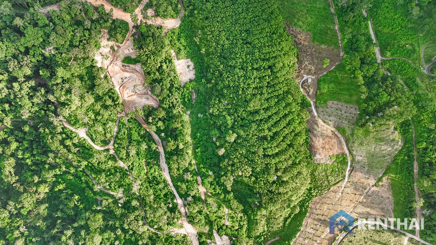 รูป สำหรับ ขาย ที่ดิน  3511 ตร.ว. ที่ เมืองภูเก็ต - รูปที่ 8/13