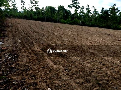 Land for sale : Thung Yao Subdistrict, Pai District, Mae Hong Son Province, area 4-2-6