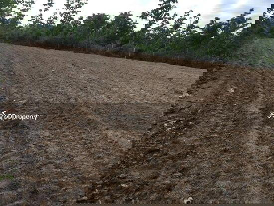 picture Thung Yao Subdistrict, Pai District, Mae Hong Son Province, area 4-2-6 - 1/4