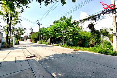 ที่ดิน ถนนนาคนิวาส : ขายที่ดิน 198 ตร.ว. นาคนิวาส 48 ลาดพร้าว