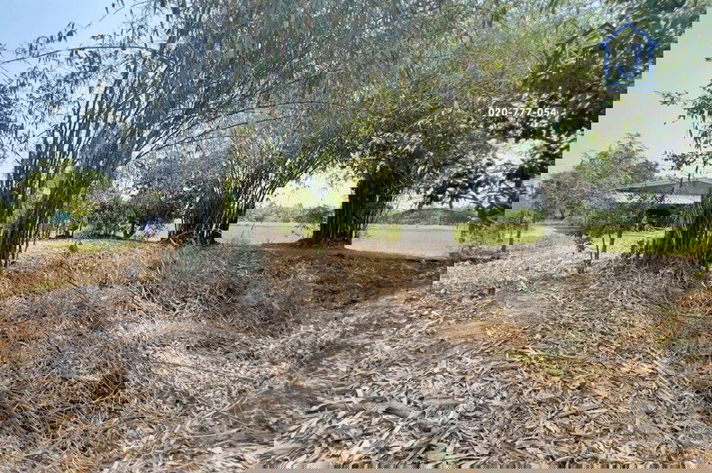 รูป ขายบ้านเดี่ยวพร้อมที่ดิน 1 ไร่ ซอยร่วมใจสามัคคี คลองสิบเอ็ด หนองเสือ - รูปที่ 10/16