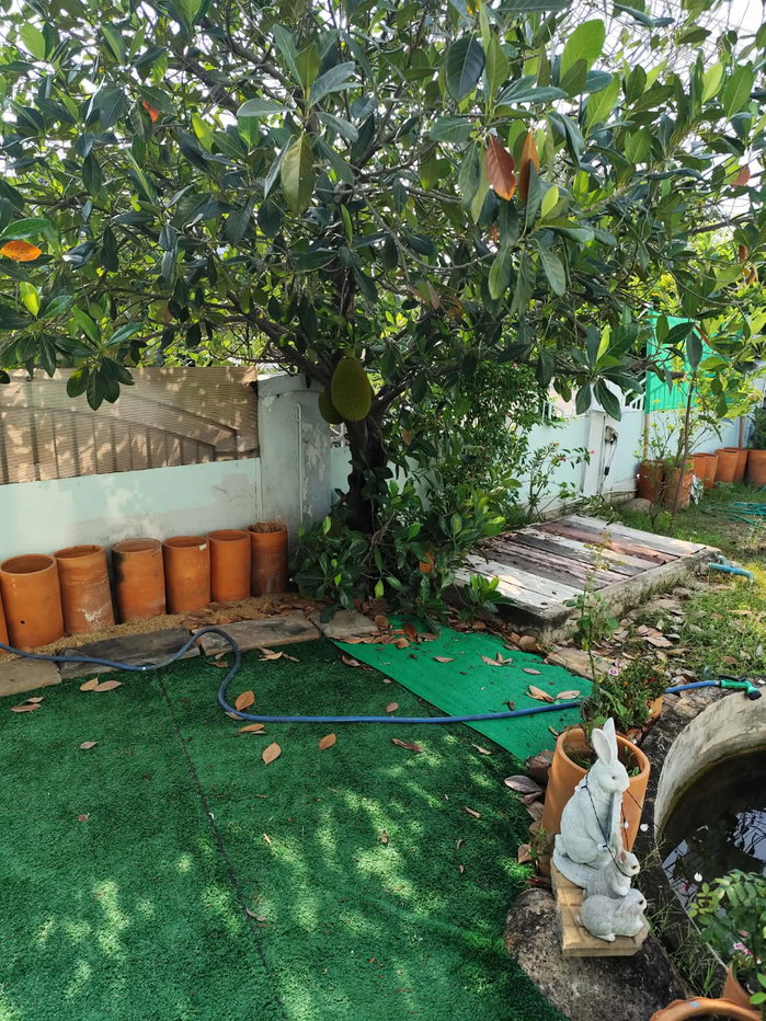 รูป ขาย บ้านเดี่ยว2ชั้น 89 ตร.วา ทำเลดีมาก หลังริม ถนนเมน อ.เมือง นนทบุรี(ติดMRT) โครงการติดถนนใหญ่ สะดวกปลอดภัย - รูปที่ 18/27