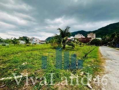 รูป ที่ดินผืนใหญ่ ใจกลางป่าตอง โฉนดครุฑแดงพร้อมโอน! - รูปที่ 8/16