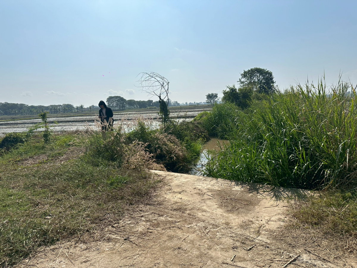 รูป ที่ดินการเกษตร ใกล้แม่สาย ตารางวาละ 650 บาท - รูปที่ 16/18