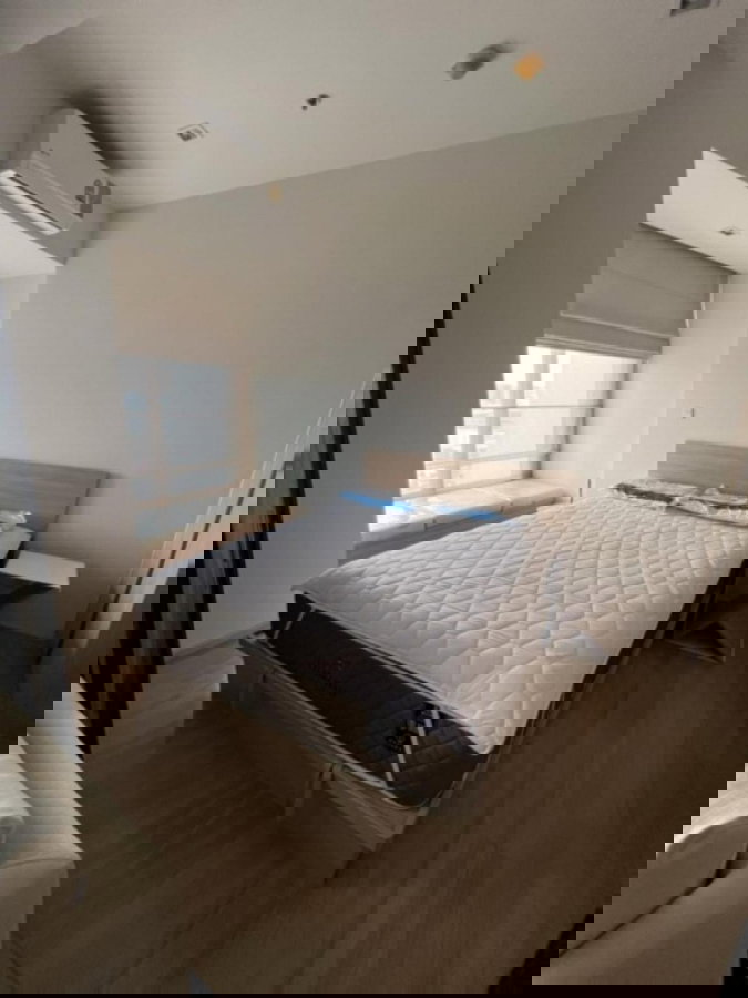 picture 💥CP-10505💥M Jatujak👉Line : @accessliving - 10/24