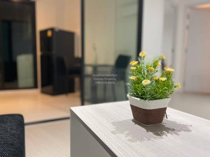รูปภาพ For Rent Condo , iCondo Serithai Green Space , ARL-Hua Mak , Khlong Chan , Bang Kapi , Bangkok , CX-87155 ✅ Live chat with us ADD LINE @connexproperty ✅