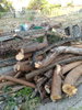 listing thumbnail image 2