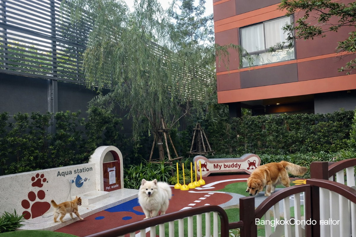 รูป 🍀🍀 Pet-Friendly 🐶🐱 ให้เช่า📌 เดอะ มูฟ บางนา (Line:@rent2022)BTS แบริ่ง ✨พร้อมเข้าอยู่ ✨ A10991 - รูปที่ 5/7