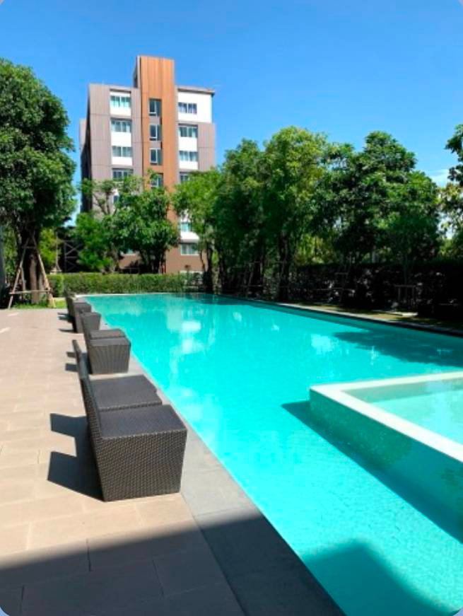 picture Dcondo Campus Resort Bangna for rent - 6/6