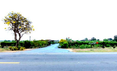 Land for sale : Call : 065-663-3286 Land for sell (Hoji Garden), 100 meters frontage, located on 3502 Road, Nong Ya Sai, Suphanburi
