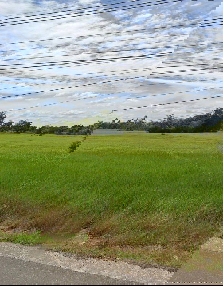 รูป ขายที่ดินติดถนนทร202อำเภอสีดาจังหวัดนครราชสีมา ขนาดที่ดิน 12-3 -82 ไร่ หน้ากว้างติดถนน ทร.202- นิเวศรัตน์ 218 เมตร ติดถนนสาธารณะ 2 ด้าน - รูปที่ 3/4