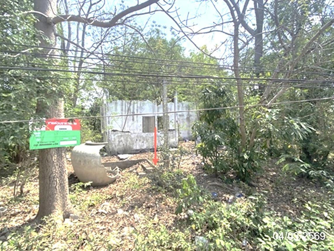 picture LAND 1286.1 Sq.w. Muang Maha Sarakham Maha Sarakham for 5M - 8/18