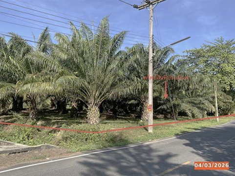 ที่ดินว่างเปล่า สำหรับขาย - ฉวาง ฉวาง นครศรีธรรมราช