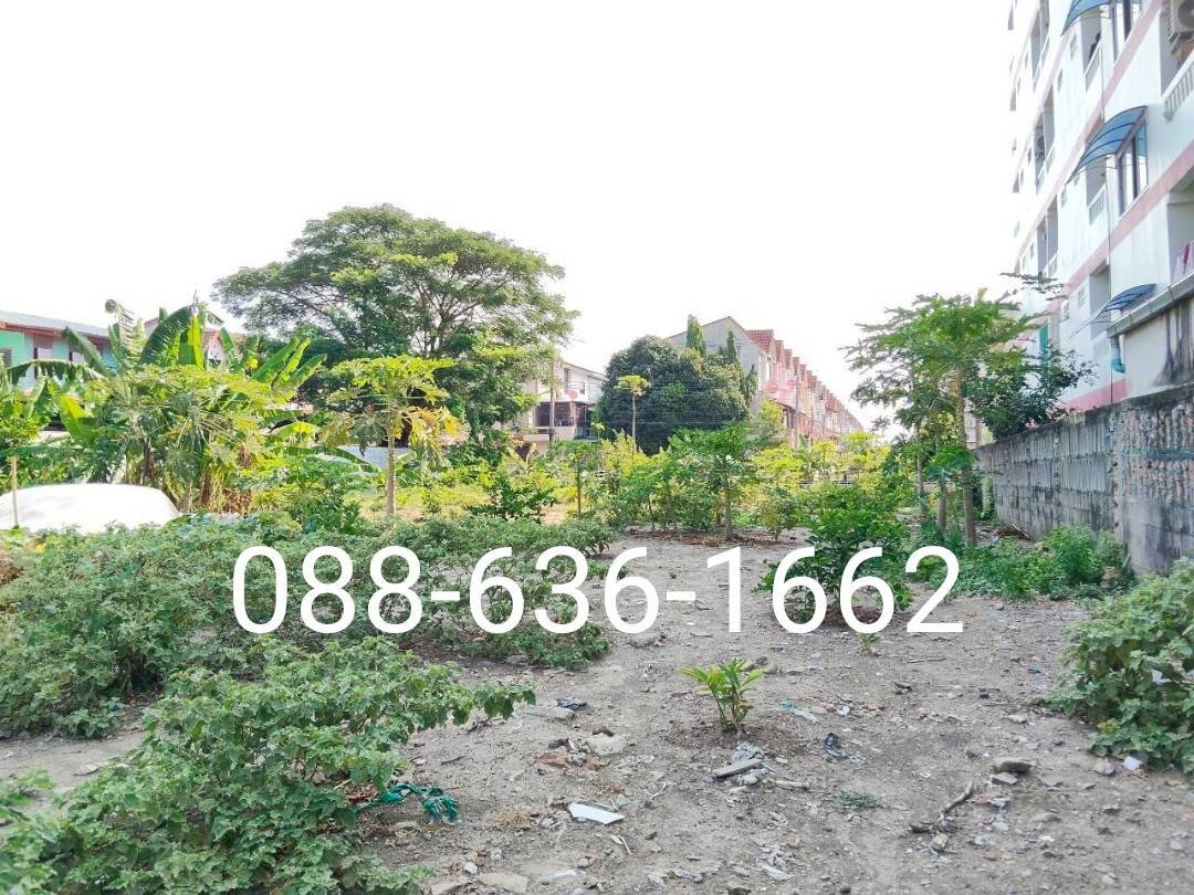 รูป ขายที่ดิน 206ตรว.ทำเลดี พิกัด บางแค เพชรเกษม หนองแขม ใกล้ อพาร์ทเม้นท์ โรงเรียน ตลาด ฯ - รูปที่ 7/9