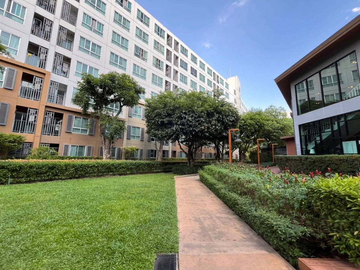 รูป ขาย ดีคอนโด นิม เชียงใหม่ 2 ห้องนอน2 ห้องน้ำ ข้างเซ็นทรัลเฟสติวัล (C487) T.0946511456 - รูปที่ 16/16