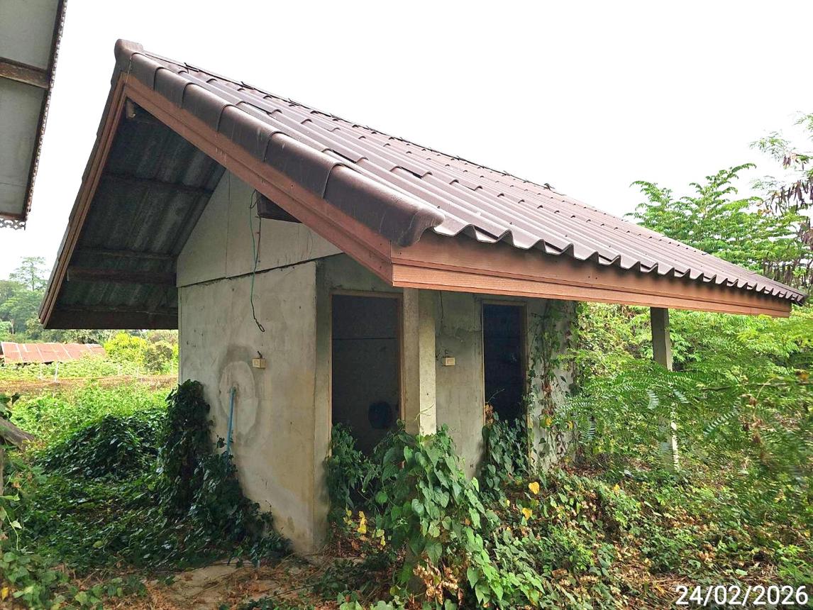 รูป บ้านเดี่ยว 398 ตร.วา บางระกำ พิษณุโลก 2M - รูปที่ 22/34
