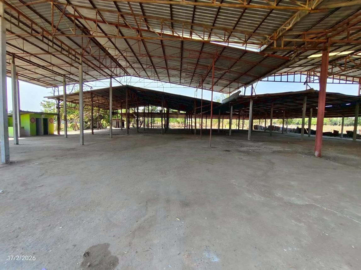 รูป บ้านเดี่ยว 4873 ตร.วา ภูเขียว ชัยภูมิ 6.2M - รูปที่ 81/90