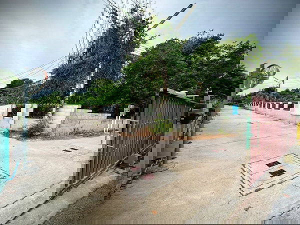 รูป ขายที่ดินศรีราชา โซนไร่กล้วย นาพร้าว ใกล้แหล่งชุมชน - รูปที่ 12/16