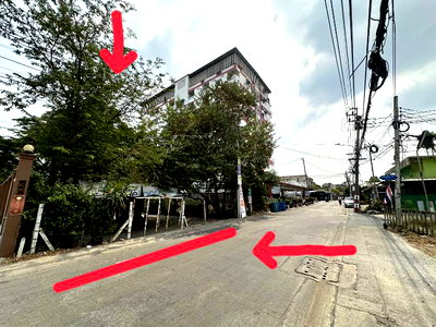 ที่ดิน วิทยาลัยการจัดการเพชรเกษม : ขายที่ดิน 206ตรว.ทำเลดี พิกัด บางแค เพชรเกษม หนองแขม ใกล้ อพาร์ทเม้นท์ โรงเรียน ตลาด ฯ